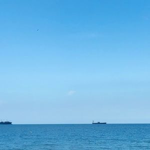 Meet your Posher, Luisa